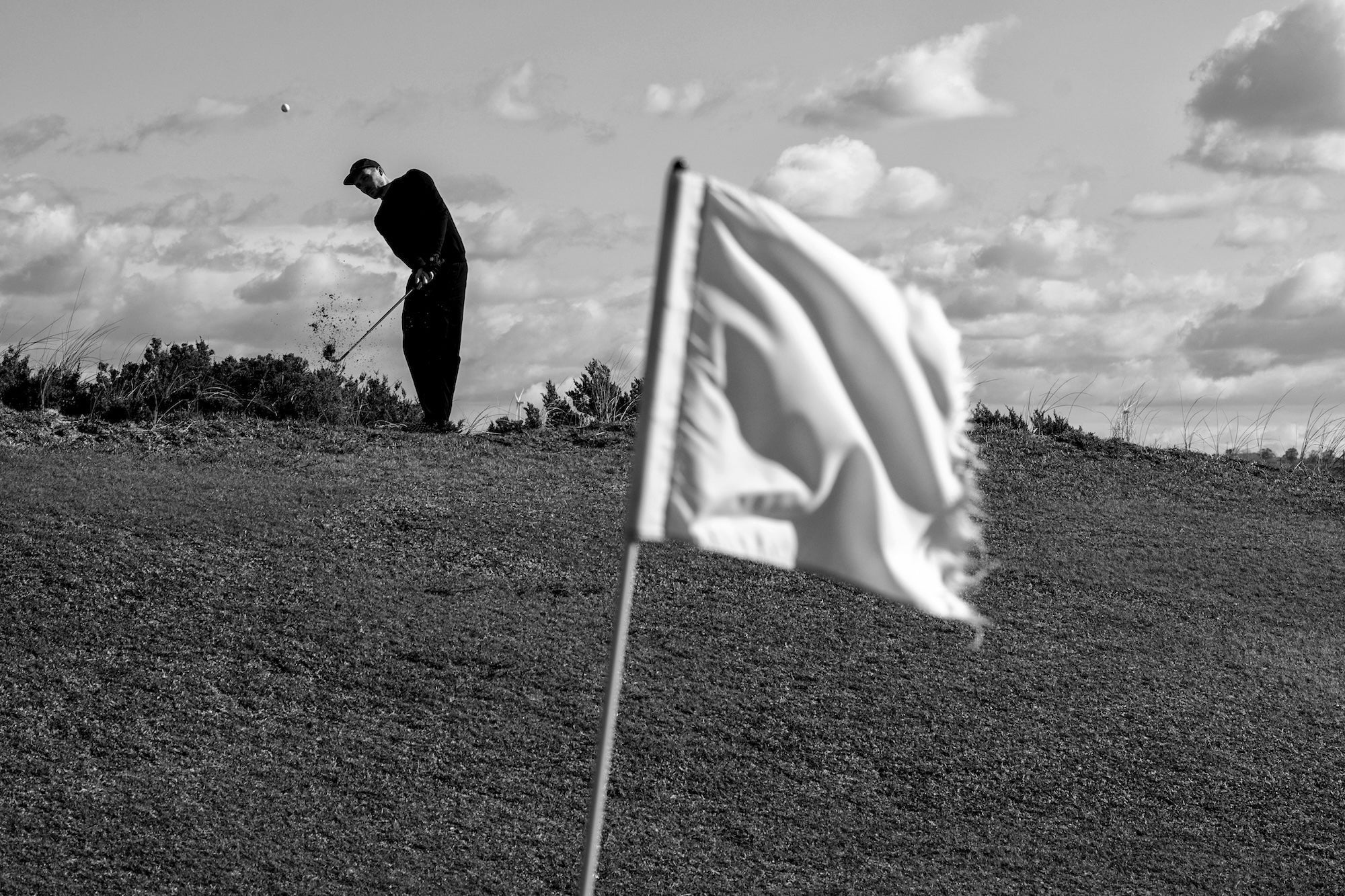 A day out on the Silver Coast - Mogshade